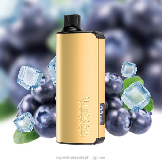 Vape Wholesale Price List Philippines - Alibarbar Ingot 20000 Disposable Vape Blueberry Breeze H2HF32