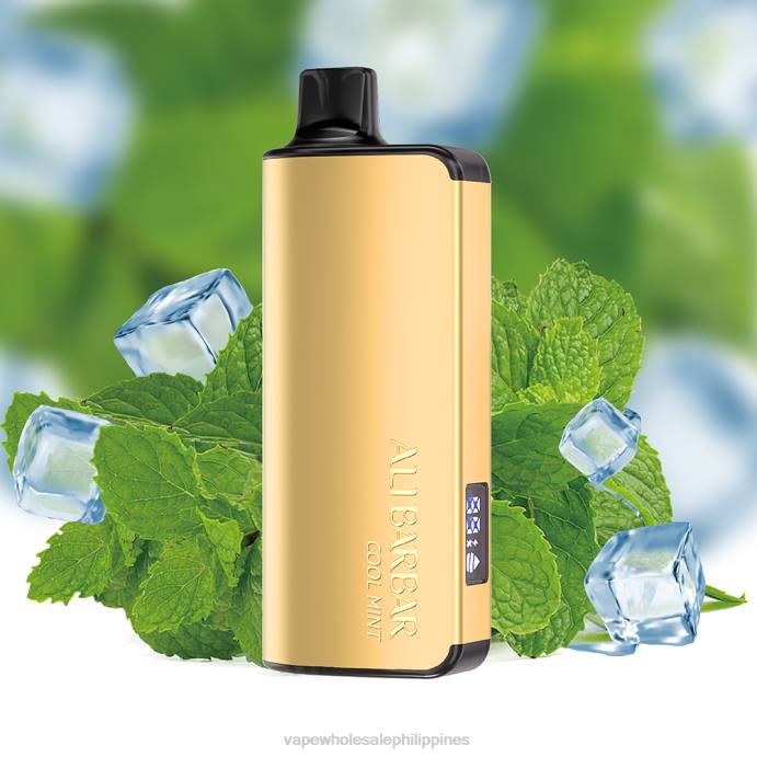 E Cigarettes Wholesale Suppliers - Alibarbar Ingot 9000 Disposable Vape Cool Mint H2HF18