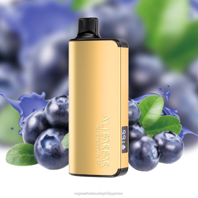 Vape Wholesale Supplier Philippines - Alibarbar Ingot 9000 Disposable Vape Kiwi Pineapple H2HF21