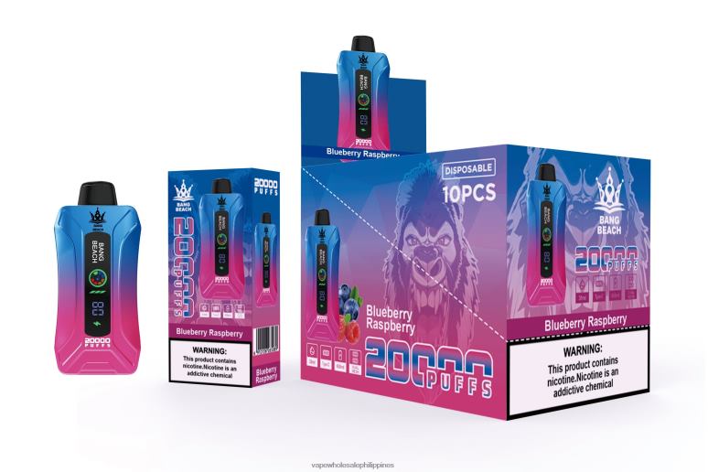 Cheapest Vape Philippines - Bang Beach 20000 Puffs Smart Screen Vape Blueberry Raspberry BF4RF12
