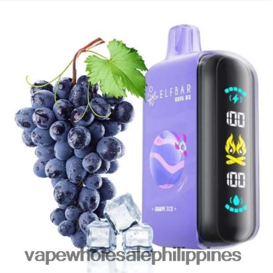Vape Wholesale Philippines - Disposable Elf Bar Raya D3 25000 HFN22R1