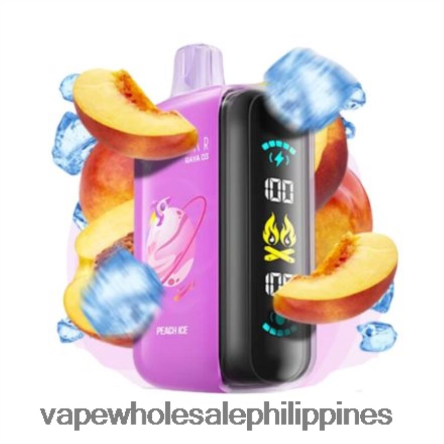Vape Wholesale Philippines - Disposable Elf Bar Raya D3 25000 HFN22R1