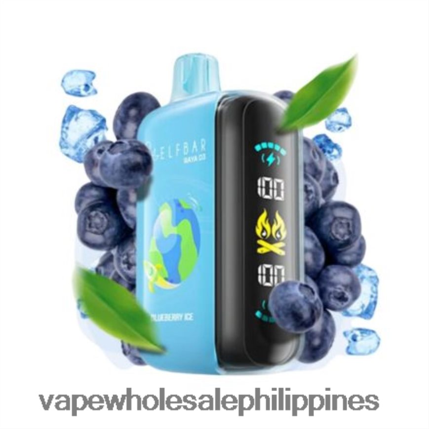 Vape Wholesale Philippines - Disposable Elf Bar Raya D3 25000 HFN22R1