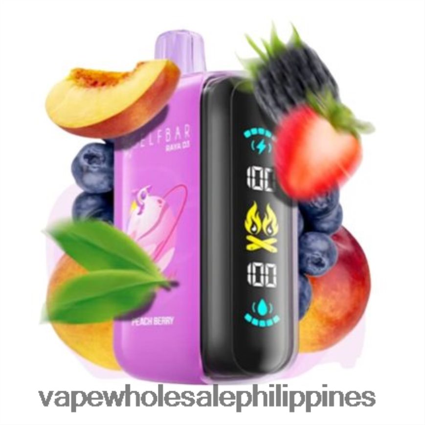 Vape Wholesale Philippines - Disposable Elf Bar Raya D3 25000 HFN22R1