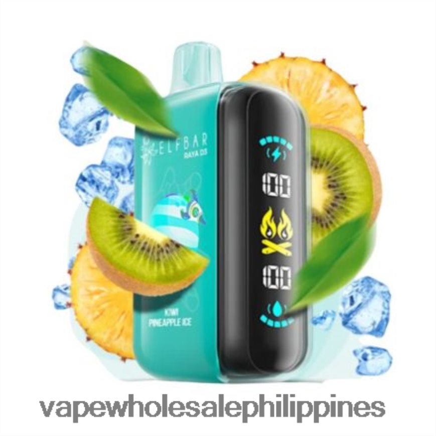 Vape Wholesale Philippines - Disposable Elf Bar Raya D3 25000 HFN22R1