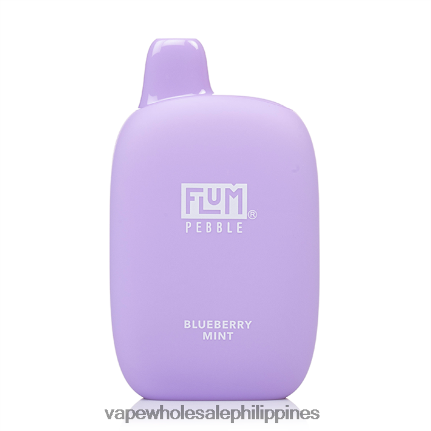 Blueberry Mint