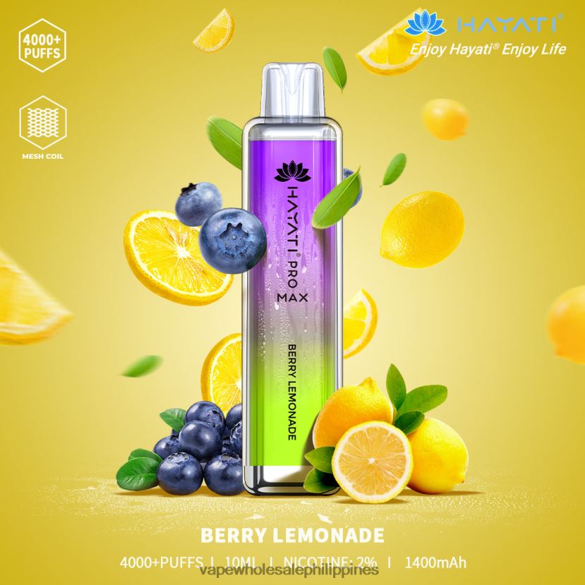 Berry Lemonade