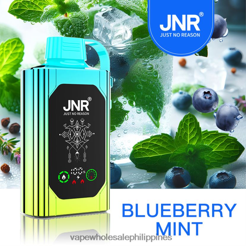 vape store davao city 2J4240618 Blueberry Mint JNR SHISHA BOX