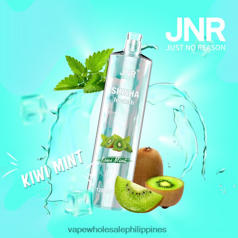 vape wholesale philippines 2J4240681 Kiwi Mint JNR SHISHA