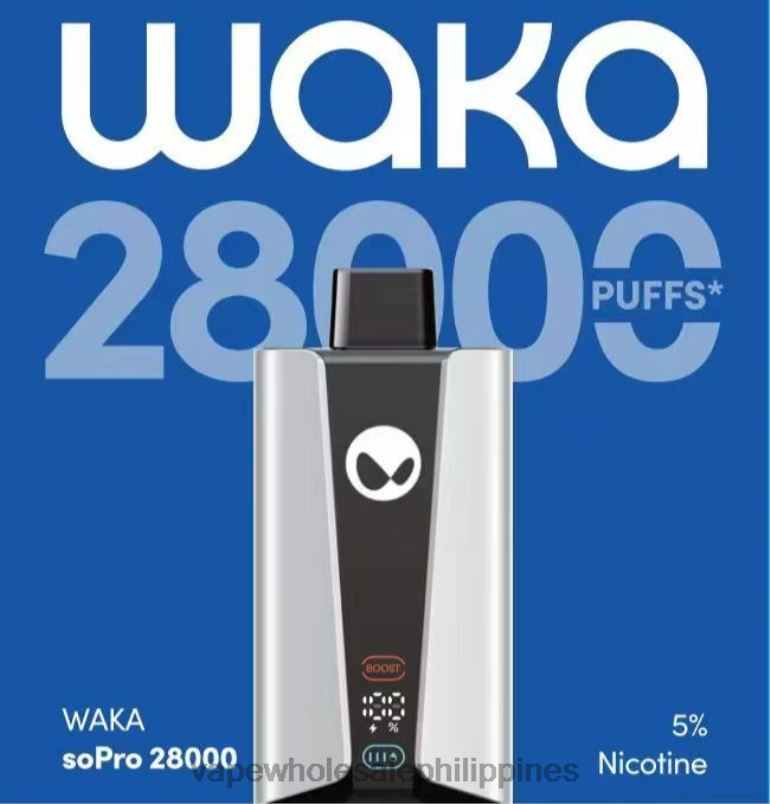 Vape Cheap Online - Multi Flavor RELX WAKA SoPro 28000 ZFT4431