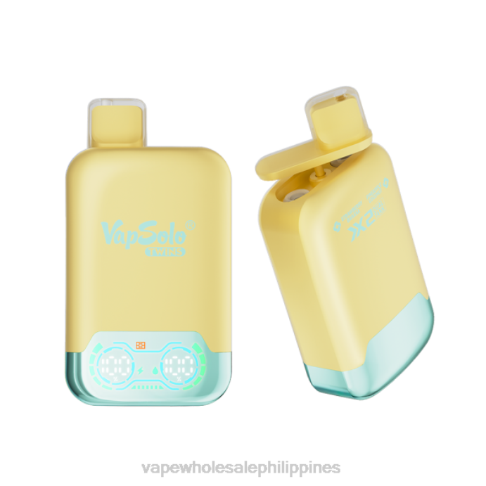 Vape Cheap Online - Vapsolo TWINS Disposable Vape Pineapple Coconut & Strawberry Banana H2HF125