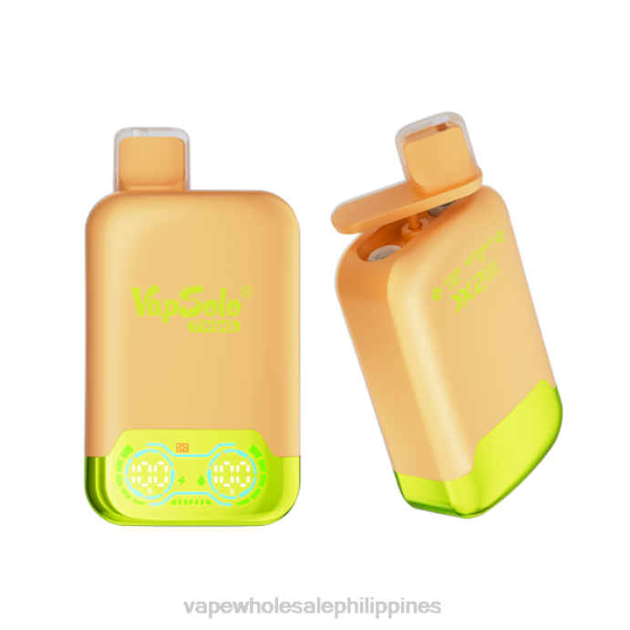 Vape Wholesaler - Vapsolo TWINS Disposable Vape Lemone Lime & Watermelon Ice H2HF123
