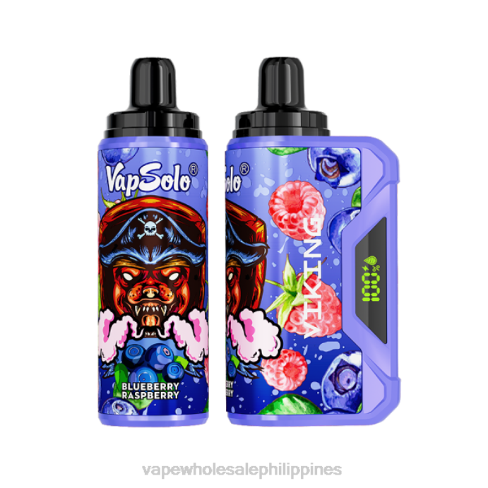 E Cigarettes Wholesale Suppliers - Vapsolo VIKING Disposable Vape Blueberry Raspberry H2HF132