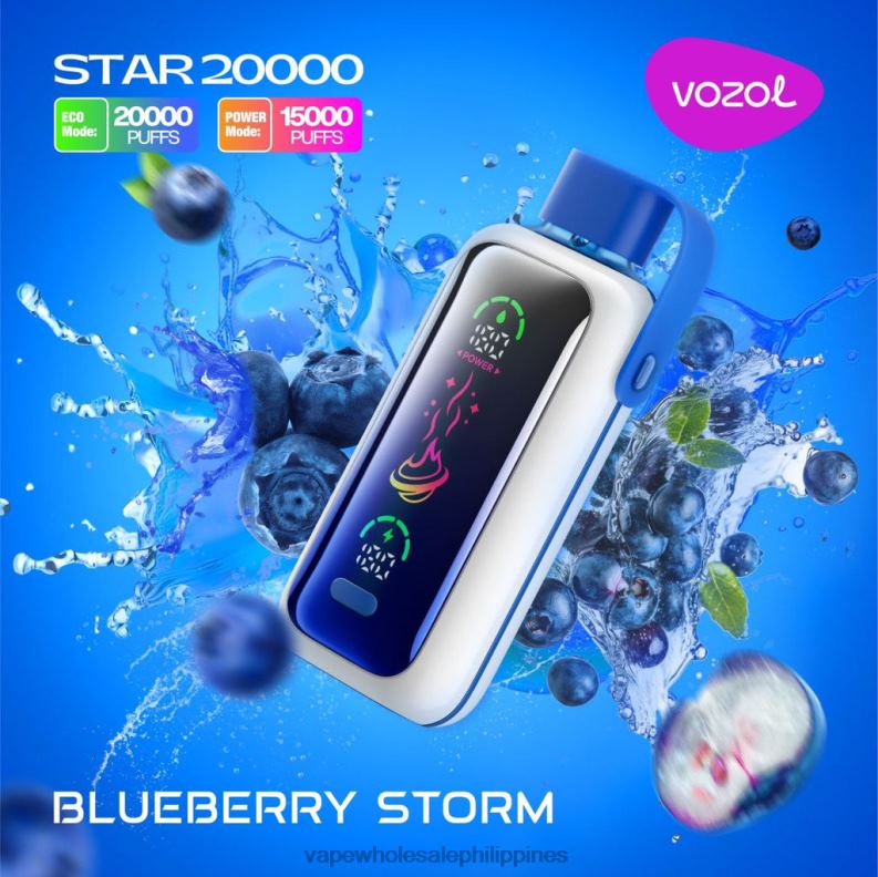 BLUEBERRY STORM