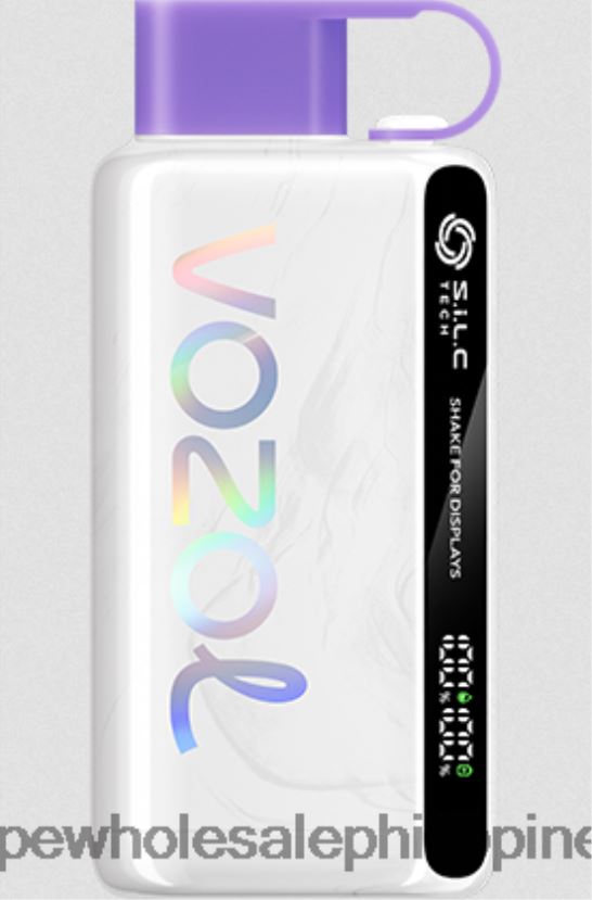vape wholesale supplier manila 2J424013 Grape Ice VOZOL STAR 9000/12000 5%