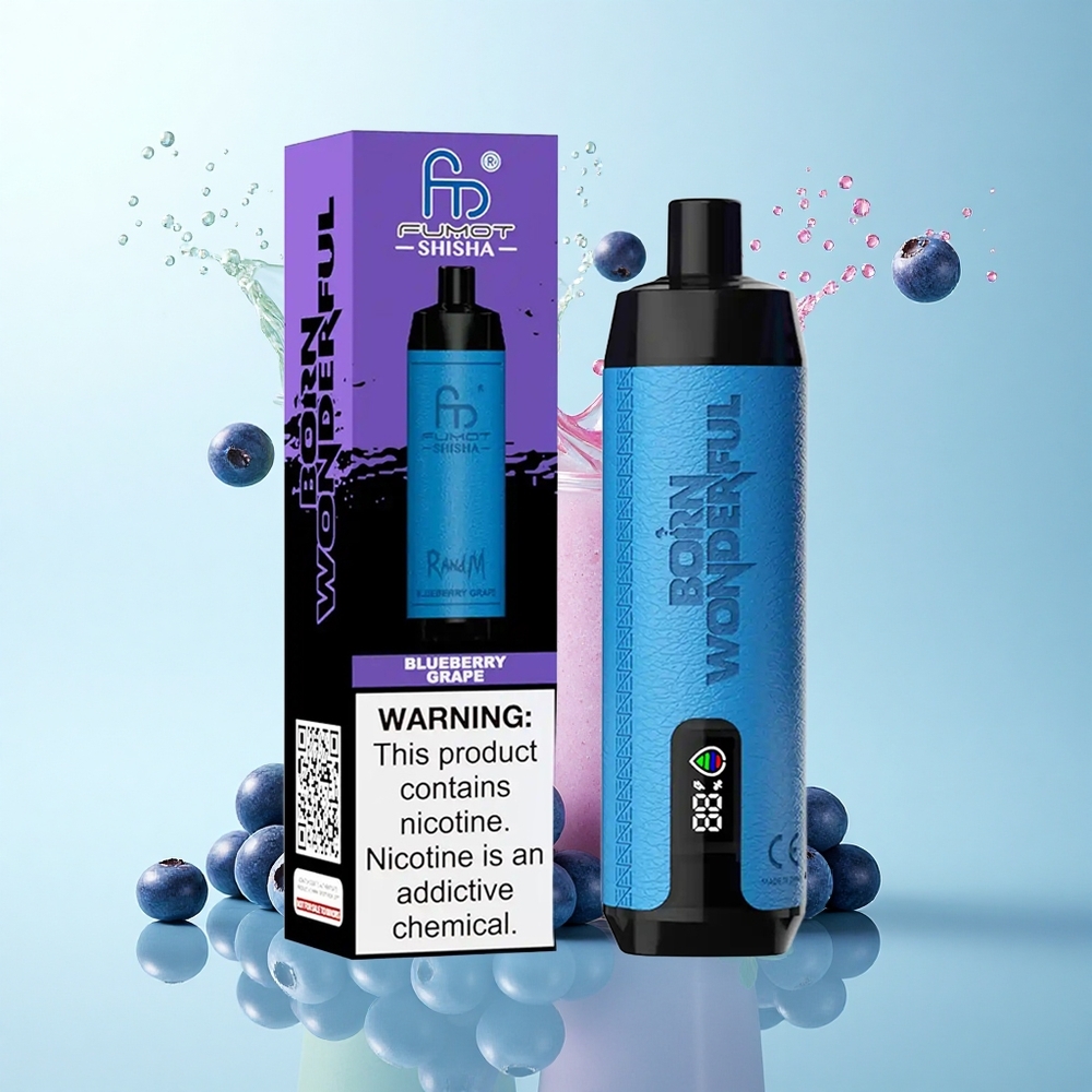 RandM Fumot Shisha 10000 Puffs Blueberry Grape with 0.5% Nicotine and 850mAh Battery