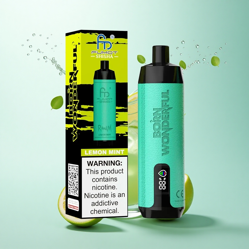 RandM Fumot Shisha 10000 Puffs Lemon Mint Mesh Coil 850mAh Type-C
