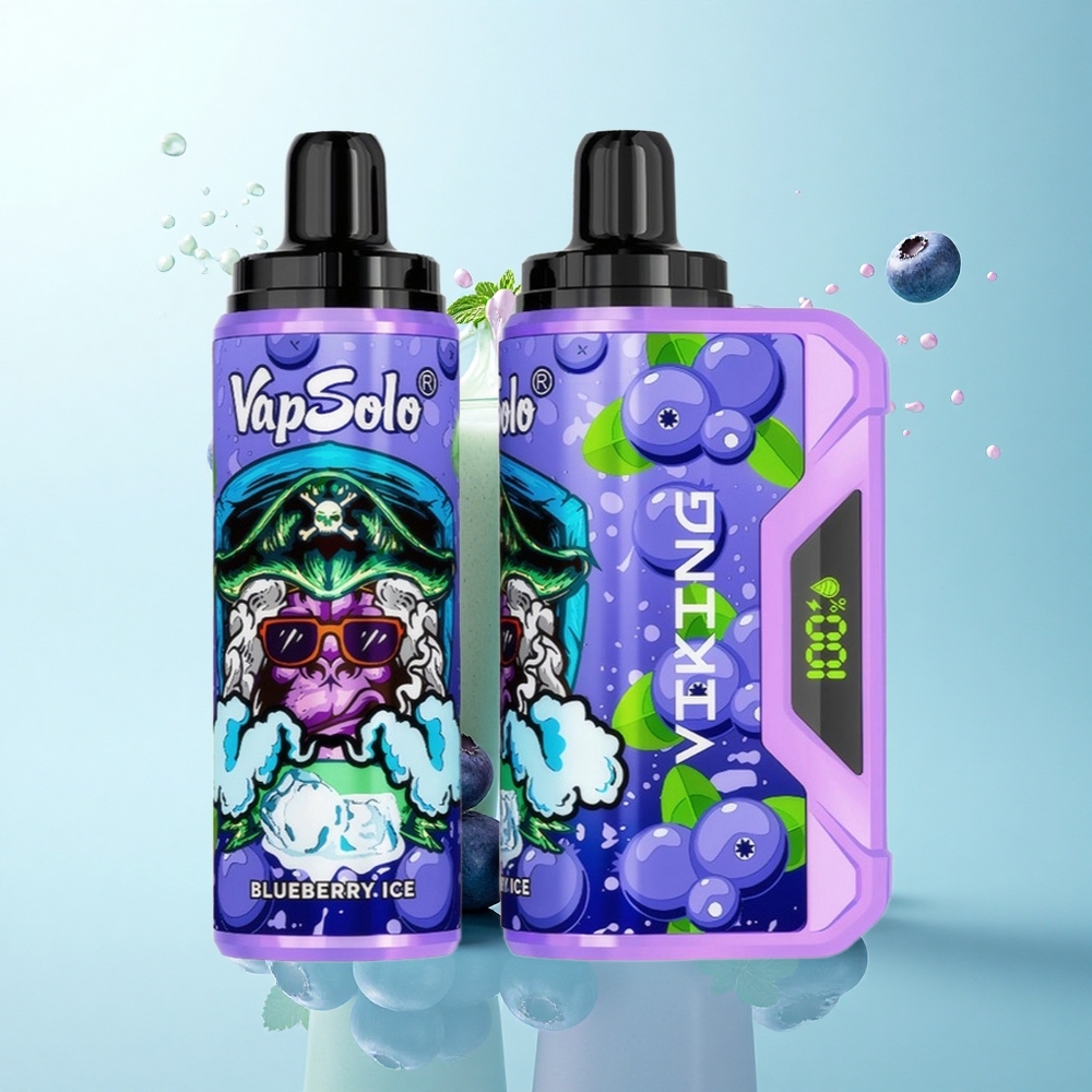 VapSolo VIKING 12000 Puffs Blueberry 22ml Type-C 20mg Nicotine