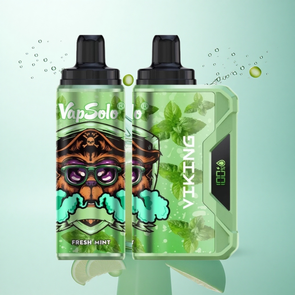 VapSolo VIKING 12000 Puffs Fresh Mint 22ml Type-C 20mg Nicotine