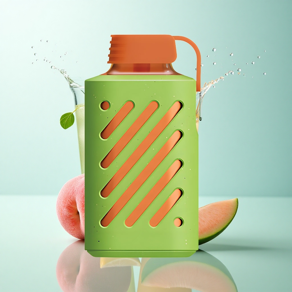 VOZOL GEAR 10000 Puffs Peach Mango Watermelon 500mAh 20ml