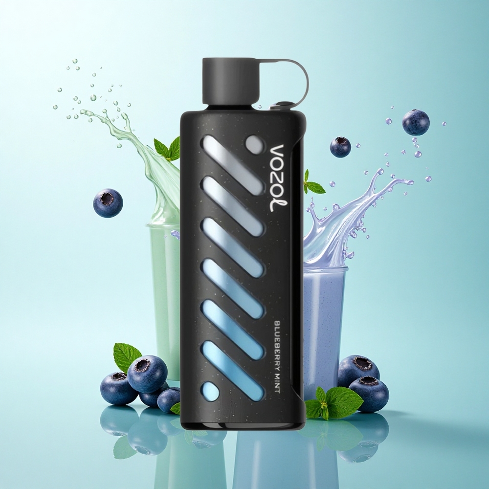 VOZOL Gear Shisha 25000 Puffs Blueberry Mint 1000mAh Dual Mesh