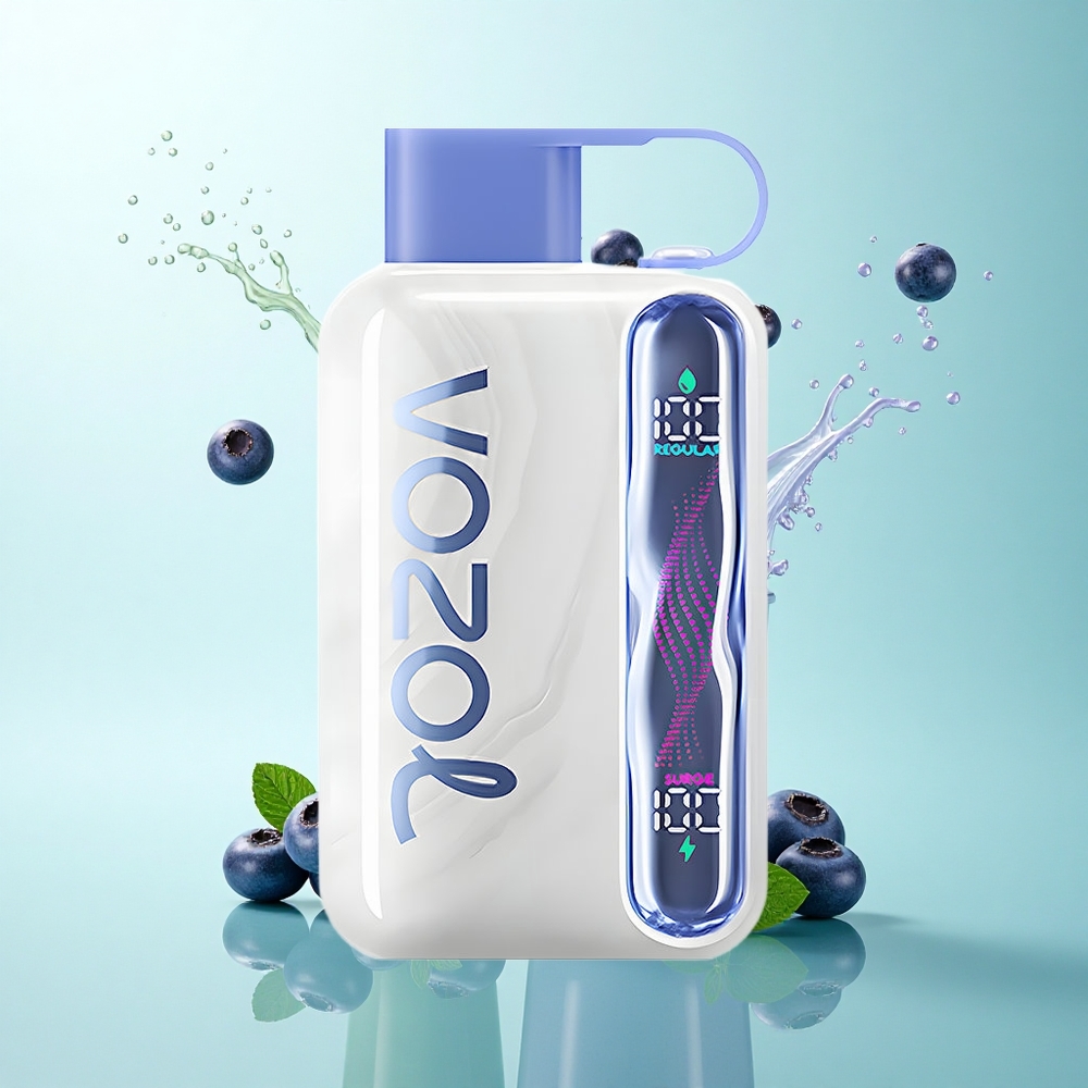 VOZOL STAR 40000 Puffs Blueberry Mint 1000mAh 20mg Nicotine