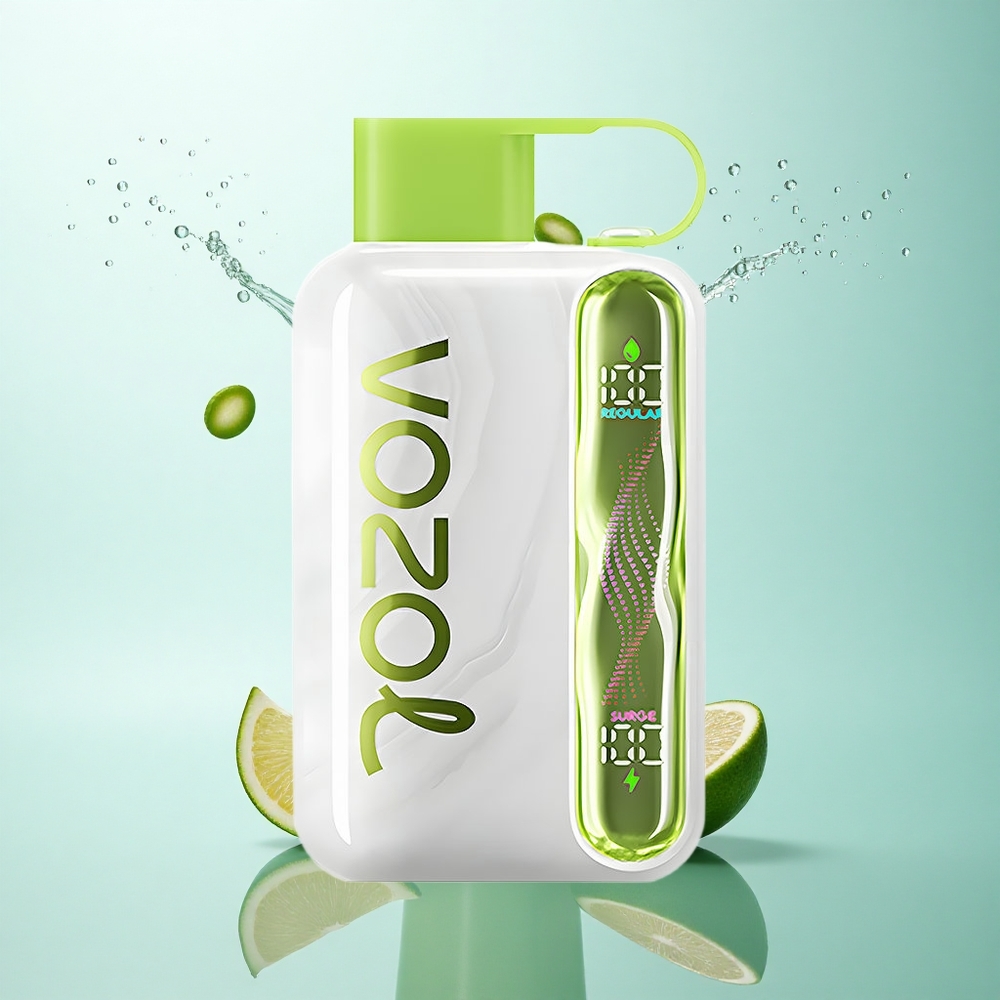 VOZOL STAR 40000 Puffs Cool Mint 1000mAh 20/50mg/ml Nicotine