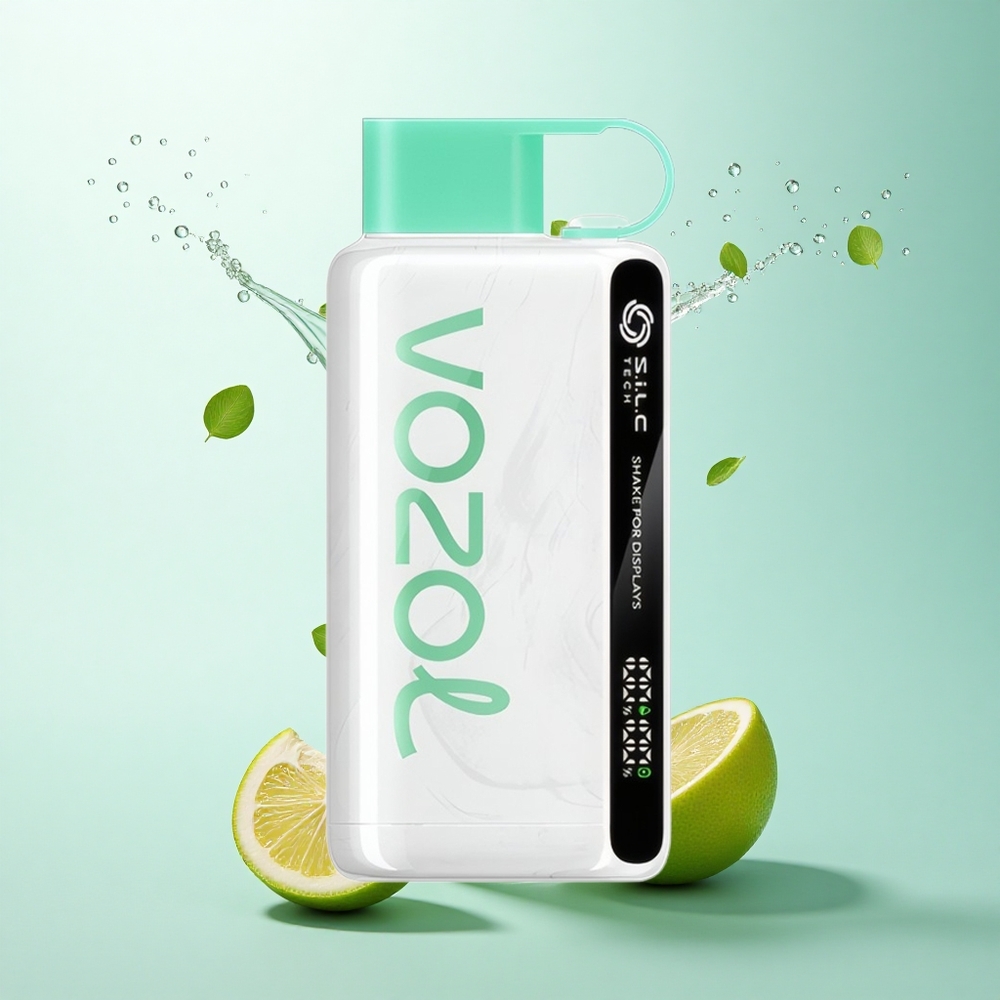 VOZOL STAR 9000/12000 Puffs Lemon Mint Recycled Plastic 650mAh Shake Display